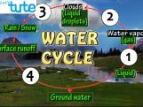All Class Environmental Science - The Water Cycle Video by Let's tute All Class Environmental Science - The Water Cycle Video by Let's tute