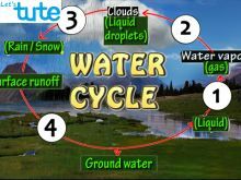 All Class Environmental Science - The Water Cycle Video by Let's tute