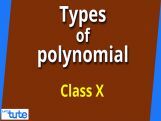 Class 10 Mathematics - Types And Zeros Of Polynomials Video by Lets Tute Class 10 Mathematics - Types And Zeros Of Polynomials Video by Lets Tute