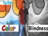 Class 9 Science - What Is Colour Blindness Video by Let's tute Class 9 Science - What Is Colour Blindness Video by Let's tute