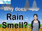 Class 9 Science - Why Does Rain Smell Video by Let's tute Class 9 Science - Why Does Rain Smell Video by Let's tute