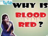 Class 9 Science - Why Is Blood Red Video by Let's tute Class 9 Science - Why Is Blood Red Video by Let's tute