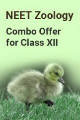 NEET Zoology Combo Offer For Class - XII NEET Zoology Combo Offer For Class - XII