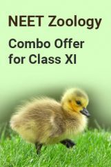 NEET Zoology Combo Offer For Class - XI NEET Zoology Combo Offer For Class - XI