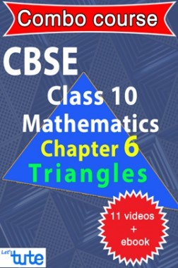 Combo : CBSE Class X Chapter 6 - Triangles (11 Videos + Complementary Smartbook As A Helping guide) by Let's Tute